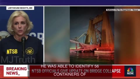 Baltimore Bridge Collapse - 56 containers, or 764 tons of hazardous material