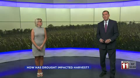 News How is the North Dakota drought impacting harvest