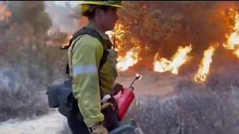 Firemen lit firewalls here to protect more forest from burning.