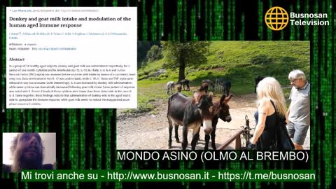 Da Mondo Asino un aneddoto dei nostri tempi