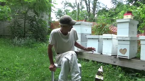Weekly Beginner Bee Keeping Series (week 11)