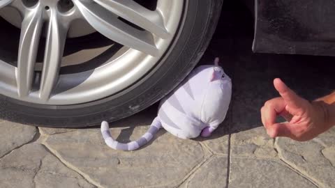 Crushing Crunchy Soft Things by Car! EXPERIMENT: BABY CAT VS CAR 2