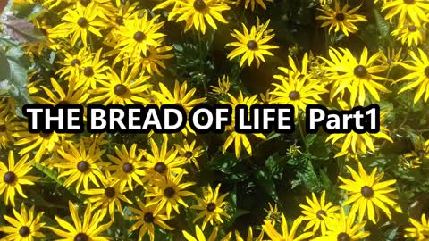 Bible Reading | Bible Study The Bread Of Life Part 1