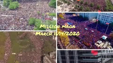 Million Maga March 11/14/20