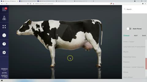 Bovine surface anatomy - 3D Veterinary Anatomy & Learning IVALA®