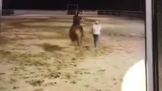 Guy in gray shirt getting tied with rope and falls