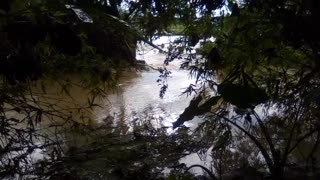 Rupturas en el dique que contiene las aguas del río Lebrija generaron múltiples estragos