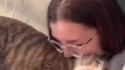Mom Surprises Cat with Retaliation Bite || ViralHog