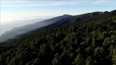 view of forest near national park caldera de taburiente unesco biosphere site la palma canary