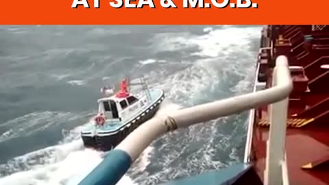 Ship Pilot Compilation - Transfers At Sea - Pilot Boat & Ladder