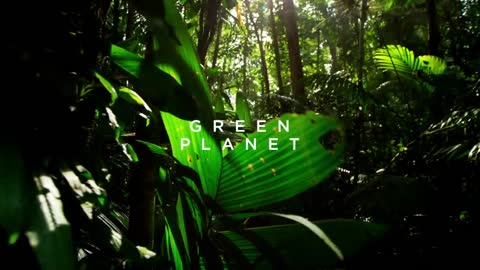 Seven Worlds, One Planet | Perfect Planet | Frozen Planet II | Green Planet | Planet Earth III