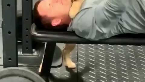 Puppy helping with workout