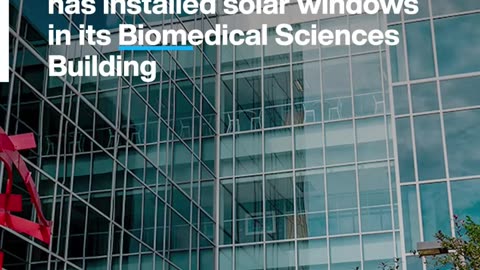 These windows are actually transparent solar panels