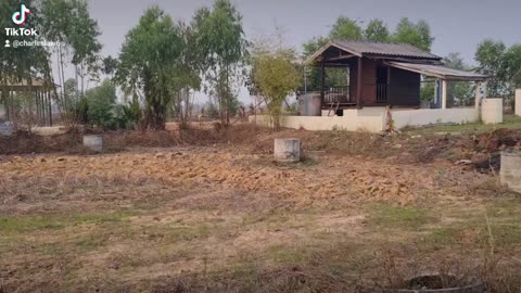 Land for sale in Udonthani Thailand owner financing