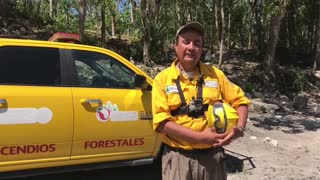 Daños por incendios en reserva natural mexicana de Sian Ka'an podrían persistir 200 años