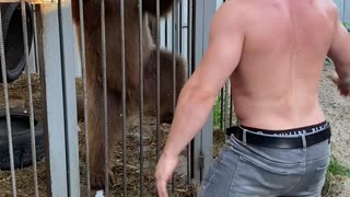 Bear Dances With His Human Friend