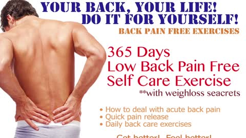 Hot & Cold Pad for Low Back Pain by AyaCise No.3