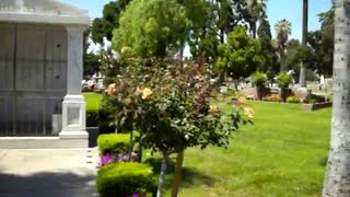 Randy Rhoad's Grave