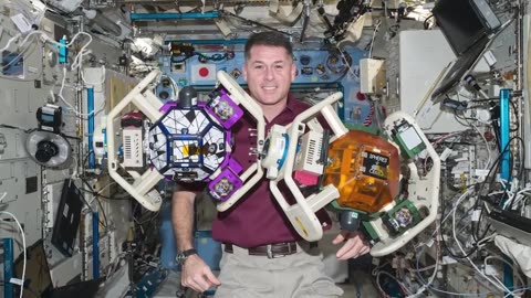 What Will the Crew-2 Astronauts Do on the Space Station? Science!