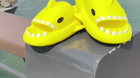 shark slippers 2022, Best Slippers for this summer 2022