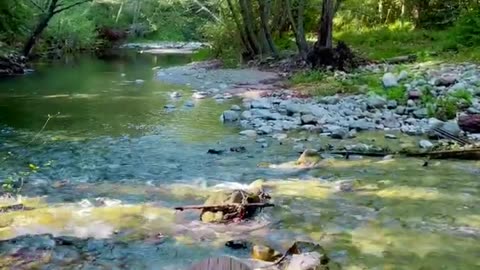 Rushing Creek in Big Sur | Relax with Water Sounds