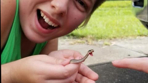 Who Knew Snakes Could Be So Adorable?