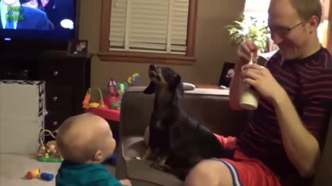 Funny Babies Laughing Hysterically at Dogs Compilation l