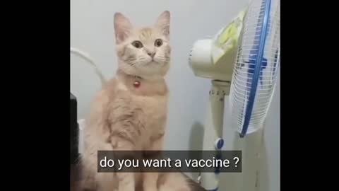 Are you scared for vaccine ??