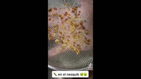 ABSOLUTELY DISGUSTING! They're already putting insects into our food! Starting with Nesquik!