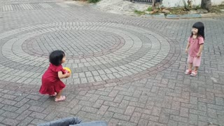 Toddlers Playing Catch