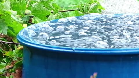 🌧️💧 Keeping Your Rainwater Clean with an Amazing Tip💧