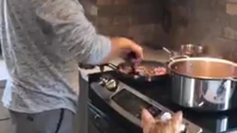 Woody masters helping Sous Chef and watching water boil