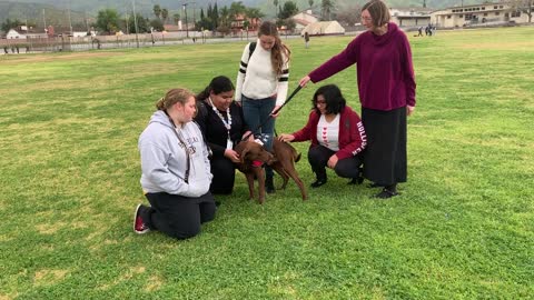 Service Dogs - Giving back to our local school district