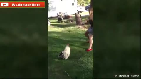 Just for laughs Animals Chasing and Scaring people