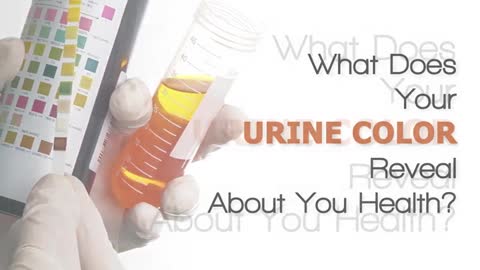 What Does Your Urine Color Reveal About Your Health?