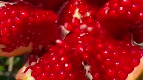 Pomegranate cutting skill satisfied relaxing sounds