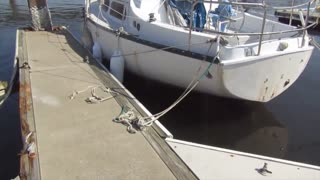 Aftermath of Hurricane Dorian on S/V Gypsea Girl