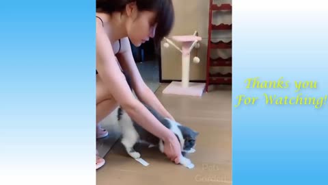 Funny and Cute Cat's Life 👯😺 Cats and Owners are the best friends Videos Cats with fun