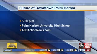 Pinellas Co. to address downtown Palm Harbor roundabout