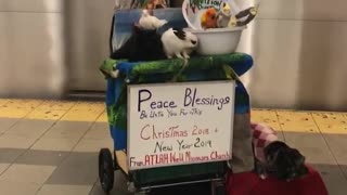 Cart full of birds peace blessings