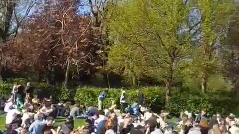 Huge crowd in Dublin for the annual 4/20 protest.