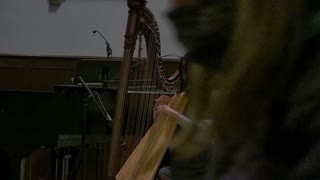 Second Sunday Of Advent - Music - Harp - 2