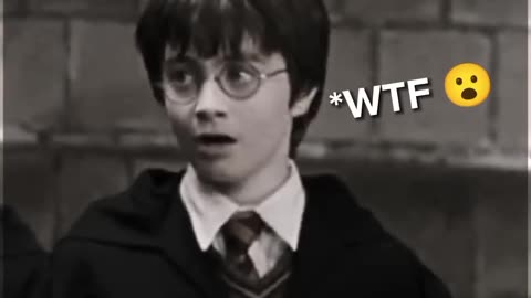 Harry Potter WTF!