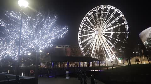 an illuminated tree and ferris wheel