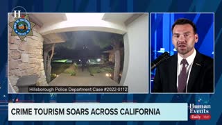 Jack Posobiec on crime tourism soaring in California
