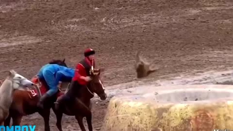 Horse sports | incident. |horse. | $Rum