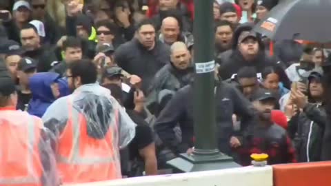 New Zeland , Wellington : Il Popolo Maori entra in protesta e lo fa con la sua danza tradizionale