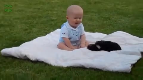Funny babies and animal video The best adorable baby and animal complilation third
