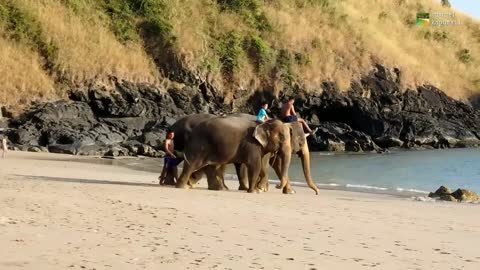 Klong Jark Beach Koh Lanta Thailand Full HD