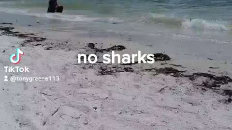 No Sharks In Cypress Beach